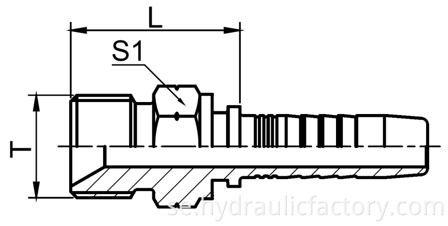 Bsp Male 60 Degree Cone Fittings Drawing